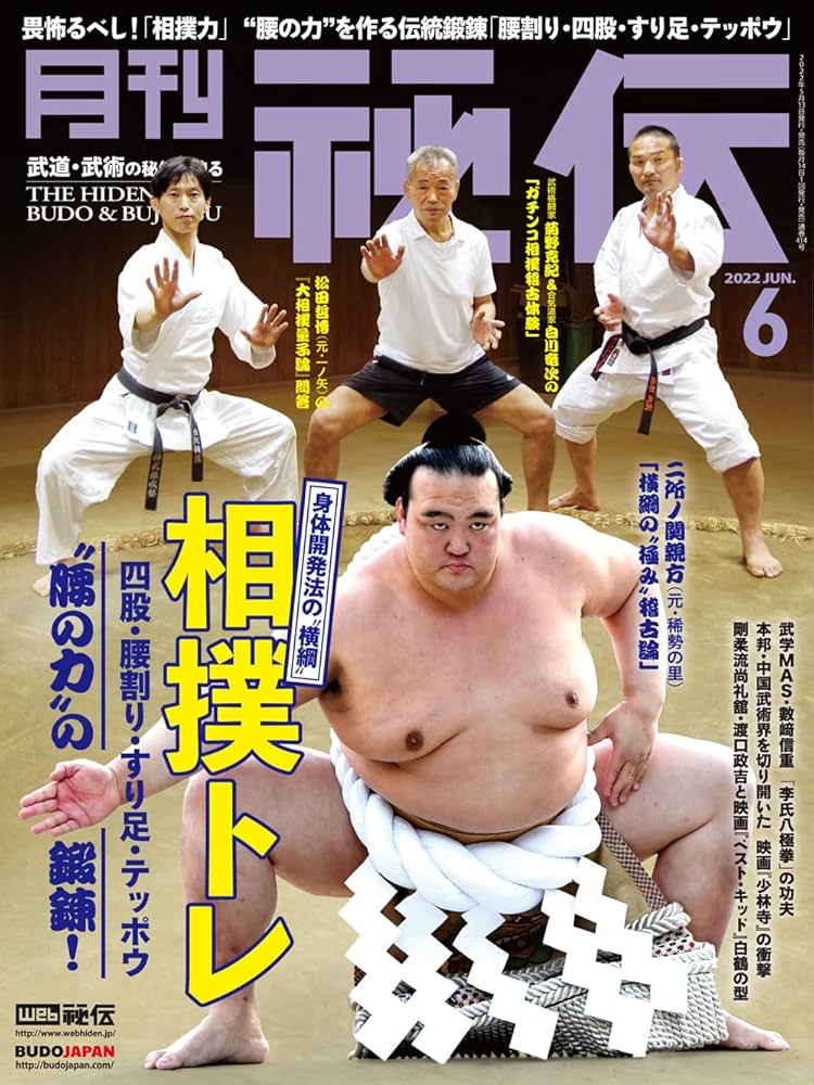 月刊秘伝　2008年〜2022年 月刊秘伝 2008年〜2022年 秘伝 2024年 08月号（7月12